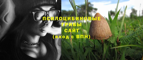 apvp Алексеевка