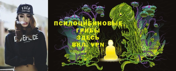 прущий лед Алексин