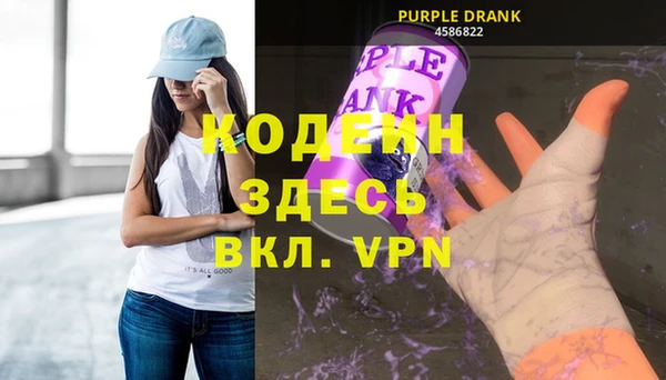 соль ск Алзамай