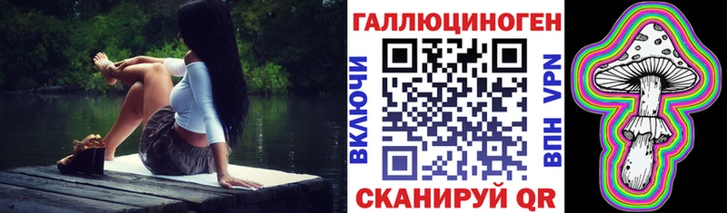 Псилоцибиновые грибы Cubensis  Лермонтов 